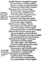 O riječima dalmatoromanskoga podrijetla u Marulićevim djelima