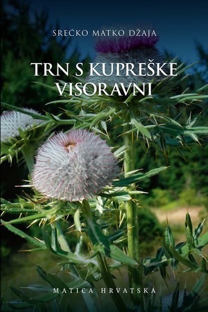 Trn s Kupreške visoravni