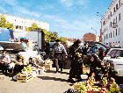  Zemlja ljubaznih domaćina i čestih zdravica, kavkaski dugih i srdačnih