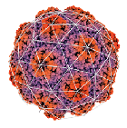 Mozaični virus žute repe