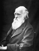 Darwin bi danas bio bioenergetičar