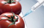 GMO – obećanja i ostvarenja